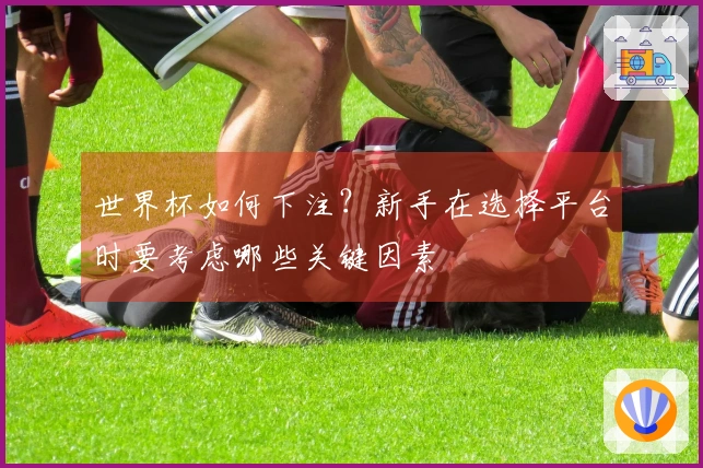 世界杯如何下注？新手在选择平台时要考虑哪些关键因素