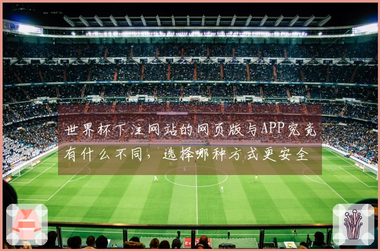 世界杯下注网站的网页版与APP究竟有什么不同，选择哪种方式更安全？